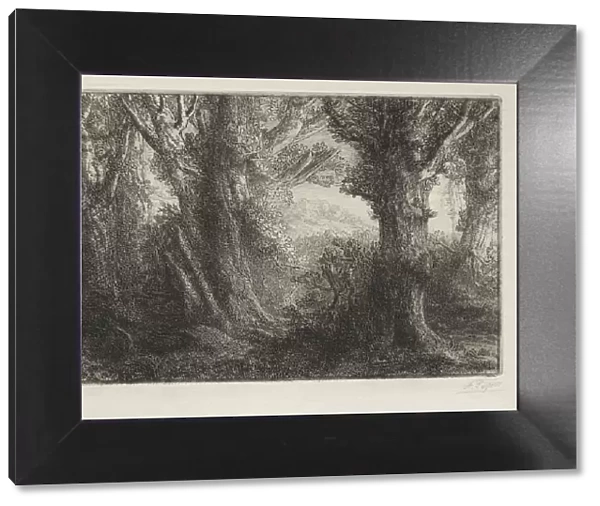 In the Forest at Conteville. Creator: Alphonse Legros (French, 1837-1911)