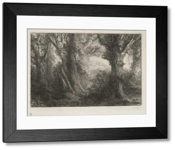 Framed Print : In the Forest at Conteville. Creator: Alphonse Legros (French, 1837-1911) Framed Print : In the Forest at Conteville. Creator: Alphonse Legros (French, 1837-1911)