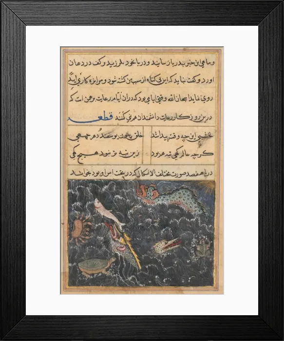 Framed Print : Page from Tales of a Parrot (Tuti-nama): Eleventh night: The creatures of the sea…, c Framed Print : Page from Tales of a Parrot (Tuti-nama): Eleventh night: The creatures of the sea…, c