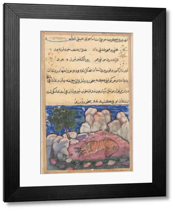 Framed Print : Page from Tales of a Parrot (Tuti-nama): Fifteenth night: The lion disturbed by mice Framed Print : Page from Tales of a Parrot (Tuti-nama): Fifteenth night: The lion disturbed by mice