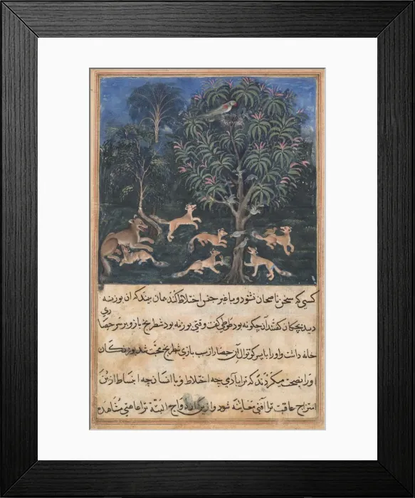 Framed Print : Page from Tales of a Parrot (Tuti-nama): Fifth night: The parrot mother cautions Framed Print : Page from Tales of a Parrot (Tuti-nama): Fifth night: The parrot mother cautions