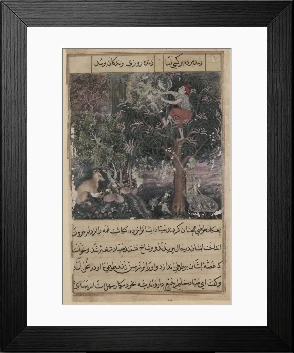 Framed Print : Page from Tales of a Parrot (Tuti-nama): Fifth night: The hunter throws away the baby Framed Print : Page from Tales of a Parrot (Tuti-nama): Fifth night: The hunter throws away the baby