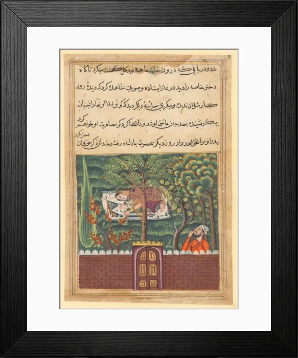 Framed Print : Page from Tales of a Parrot (Tuti-nama): Fifty-first night: Khulasa, a vizier, sees Framed Print : Page from Tales of a Parrot (Tuti-nama): Fifty-first night: Khulasa, a vizier, sees