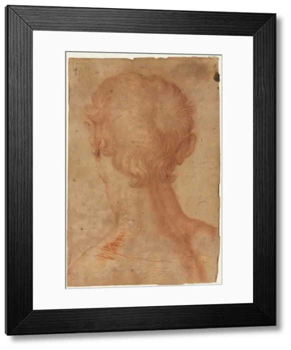 Framed Print : Mans Head from the Back, 16th century?. Creator: Unknown Framed Print : Mans Head from the Back, 16th century?. Creator: Unknown