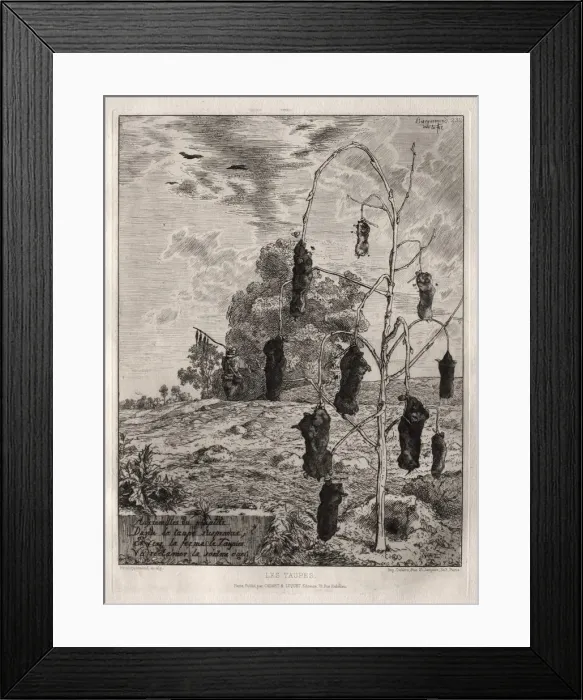 Framed Print : Moles, 1854, printed 1866. Creator: Felix Bracquemond (French, 1833-1914); Cadart Framed Print : Moles, 1854, printed 1866. Creator: Felix Bracquemond (French, 1833-1914); Cadart