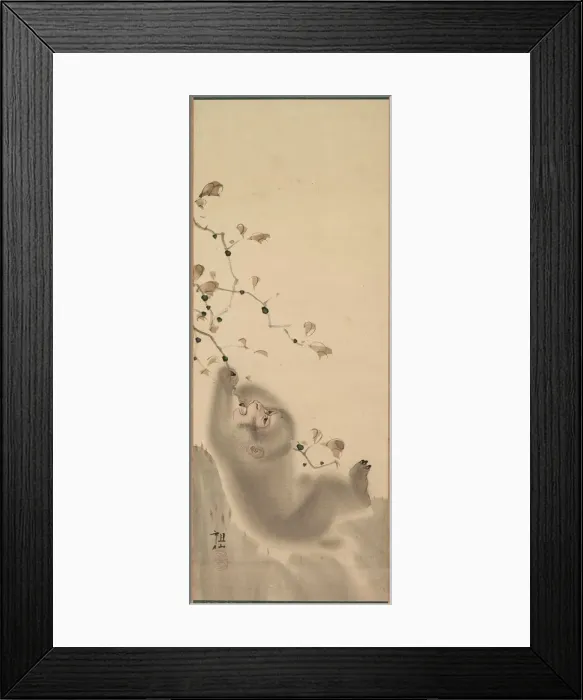 Framed Print : Monkey Hanging on to a Branch, 1780. Creator: Mori Sosen (Japanese, 1747-1821) Framed Print : Monkey Hanging on to a Branch, 1780. Creator: Mori Sosen (Japanese, 1747-1821)