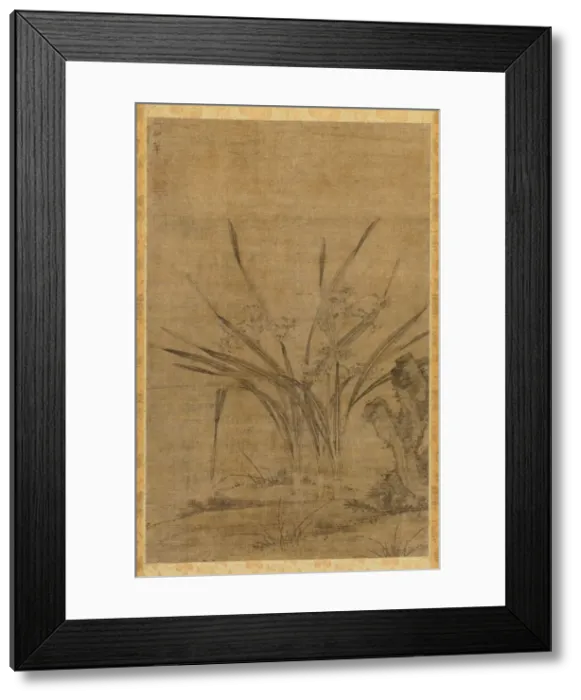 Framed Print : Narcissus and Rocks, 1368-1644. Creator: Lu Tianru (Chinese, first half of 1400s) Framed Print : Narcissus and Rocks, 1368-1644. Creator: Lu Tianru (Chinese, first half of 1400s)