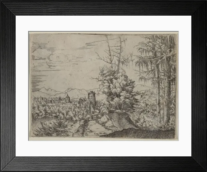 Framed Print : Landscape with Two Pines, 1522-1525. Creator: Albrecht Altdorfer (German, c. 1480-1538) Framed Print : Landscape with Two Pines, 1522-1525. Creator: Albrecht Altdorfer (German, c. 1480-1538)