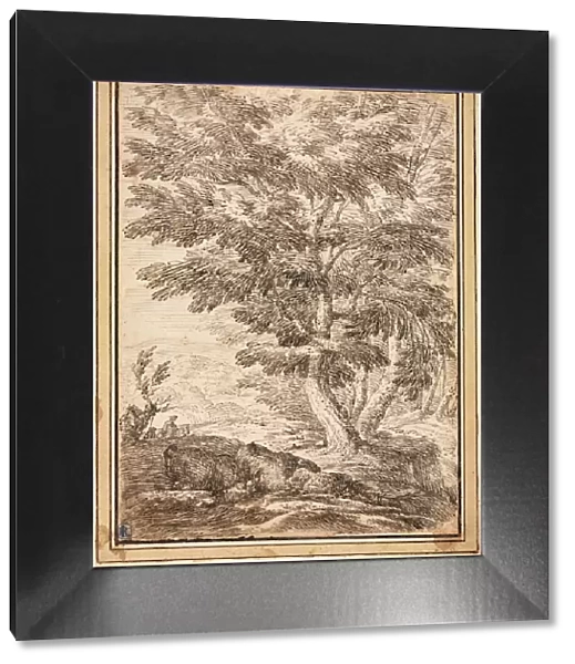 Landscape with Clump of Trees, 17th century. Creator: Unknown
