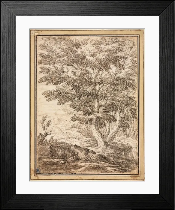 Framed Print : Landscape with Clump of Trees, 17th century. Creator: Unknown Framed Print : Landscape with Clump of Trees, 17th century. Creator: Unknown