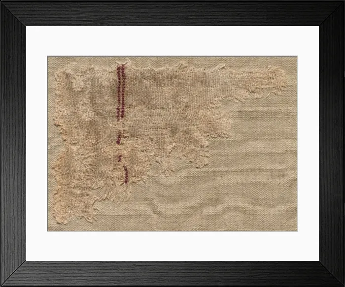 Framed Print : Rep Cloth, 3rd century. Creator: Unknown Framed Print : Rep Cloth, 3rd century. Creator: Unknown
