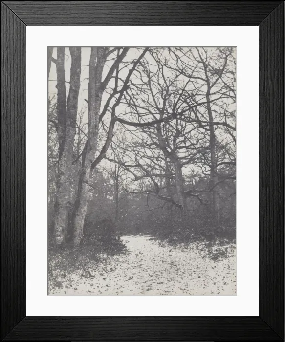 Framed Print : Road in the Forest, 1860-1863. Creator: Eugene Cuvelier (French, 1837-1900) Framed Print : Road in the Forest, 1860-1863. Creator: Eugene Cuvelier (French, 1837-1900)