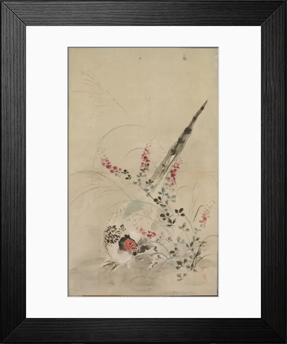 Framed Print : Pheasant and Grasses, late 17th-early 18th century. Creator: Ogata Korin (Japanese Framed Print : Pheasant and Grasses, late 17th-early 18th century. Creator: Ogata Korin (Japanese