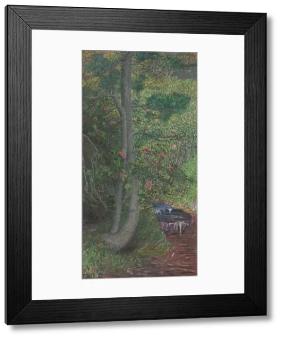 Framed Print : Pine Tree, c. 1897. Creator: Giovanni Segantini (Italian, 1858-1899) Framed Print : Pine Tree, c. 1897. Creator: Giovanni Segantini (Italian, 1858-1899)