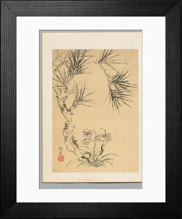 Framed Print : Pine Tree and Fungus, 19th century. Creator: Tsubaki Chinzan (Japanese, 1801-1854) Framed Print : Pine Tree and Fungus, 19th century. Creator: Tsubaki Chinzan (Japanese, 1801-1854)
