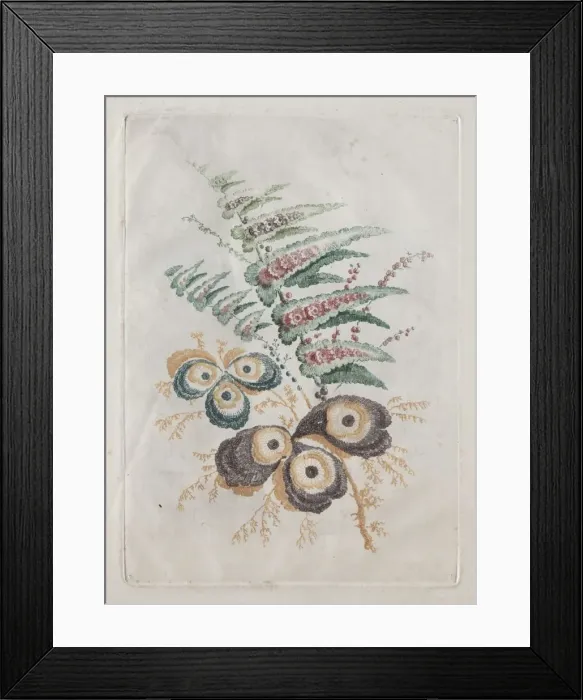 Framed Print : New Suite of Portfolios of Flowers Ideal to Use for Designing and Painting: Floral Fantasies, c Framed Print : New Suite of Portfolios of Flowers Ideal to Use for Designing and Painting: Floral Fantasies, c