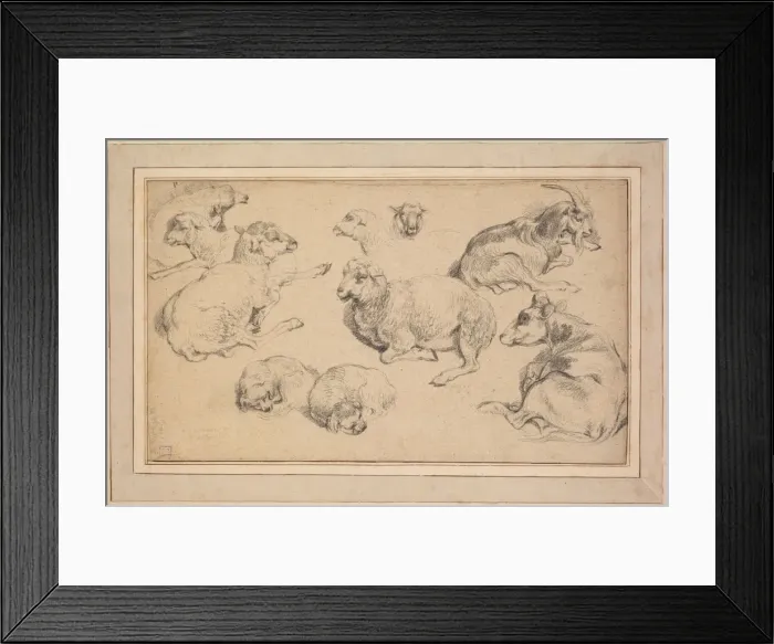 Framed Print : Sheet of Studies with Sheep, Goats, and Dogs, c. 1780. Creator: Jean-Baptiste Marie Hüet Framed Print : Sheet of Studies with Sheep, Goats, and Dogs, c. 1780. Creator: Jean-Baptiste Marie Hüet