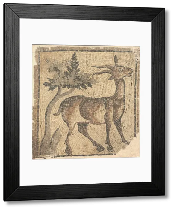 Framed Print : Ram near a Tree, 400s. Creator: Unknown Framed Print : Ram near a Tree, 400s. Creator: Unknown