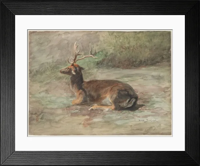 Framed Print : Recumbent Stag, second half 19th century. Creator: Rosa Bonheur (French, 1822-1899) Framed Print : Recumbent Stag, second half 19th century. Creator: Rosa Bonheur (French, 1822-1899)