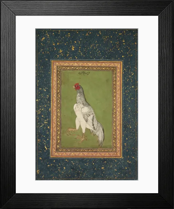 Framed Print : Rooster, c. 1620. Creator: Unknown Framed Print : Rooster, c. 1620. Creator: Unknown