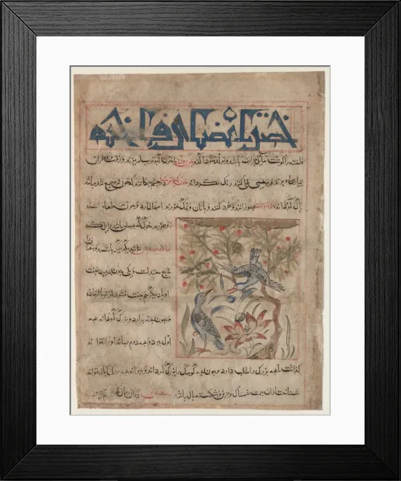Framed Print : Qualities of Ringdoves (recto); On the Benefits of Quails (verso)... c. 1300. Creator: Unknown Framed Print : Qualities of Ringdoves (recto); On the Benefits of Quails (verso)... c. 1300. Creator: Unknown