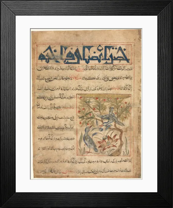 Framed Print : Qualities of Ringdoves (recto) from a Manafi al-Hayawan (On the Usefulness of Animals)…, c Framed Print : Qualities of Ringdoves (recto) from a Manafi al-Hayawan (On the Usefulness of Animals)…, c