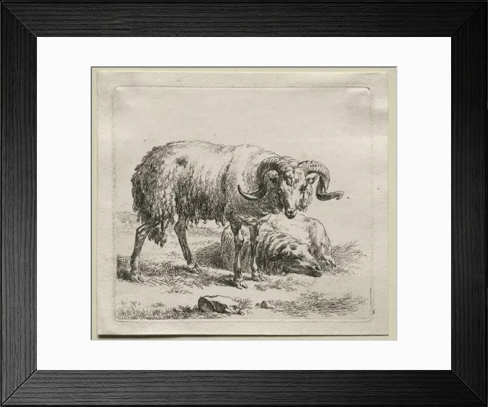 Framed Print : Ram and Sheep. Creator: Nicolaes Berchem (Dutch, 1620-1683) Framed Print : Ram and Sheep. Creator: Nicolaes Berchem (Dutch, 1620-1683)