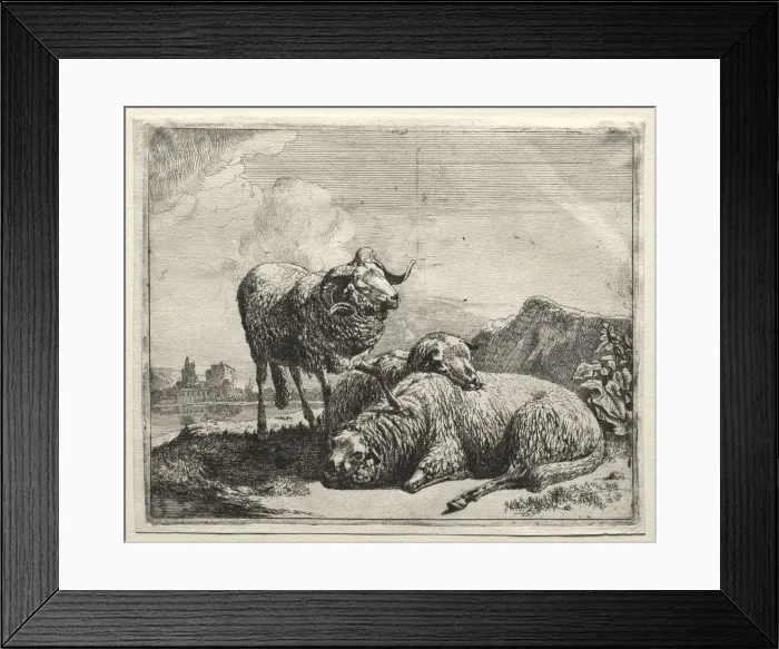 Framed Print : Ram and Two Sheep, 1665. Creator: Johann Heinrich Roos (German, 1631-1685) Framed Print : Ram and Two Sheep, 1665. Creator: Johann Heinrich Roos (German, 1631-1685)