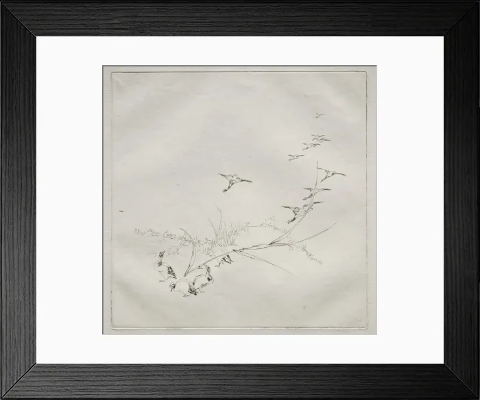 Framed Print : Parisian Service (Haviland service): Right in the sun (no Framed Print : Parisian Service (Haviland service): Right in the sun (no