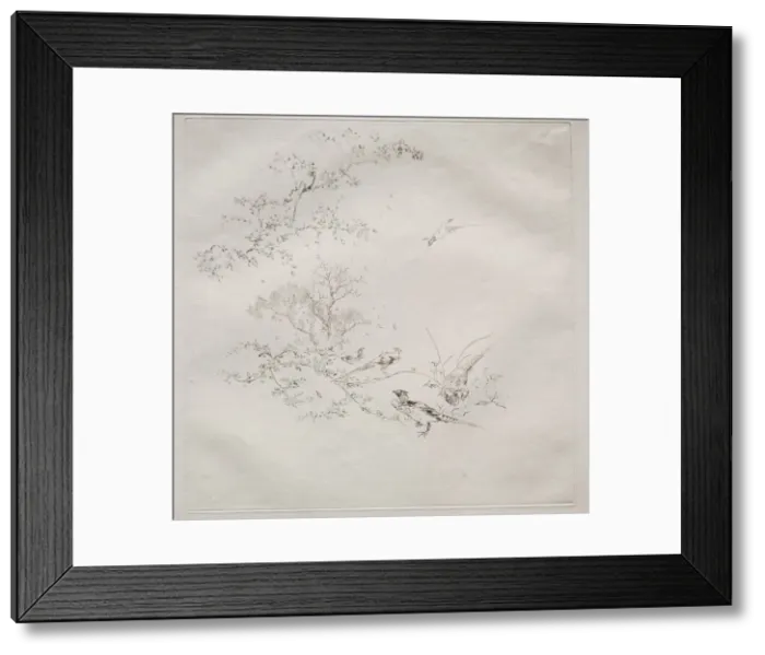 Framed Print : Parisian Service (Haviland service), 1875. Creator: Felix Bracquemond (French, 1833-1914) Framed Print : Parisian Service (Haviland service), 1875. Creator: Felix Bracquemond (French, 1833-1914)