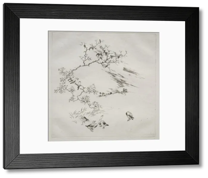 Framed Print : Parisian Service (Haviland service): Night (no. 7), 1875. Creator: Felix Bracquemond (French Framed Print : Parisian Service (Haviland service): Night (no. 7), 1875. Creator: Felix Bracquemond (French