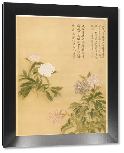 Peonies, 1685. Creator: Yun Shouping (Chinese, 1633-1690)
