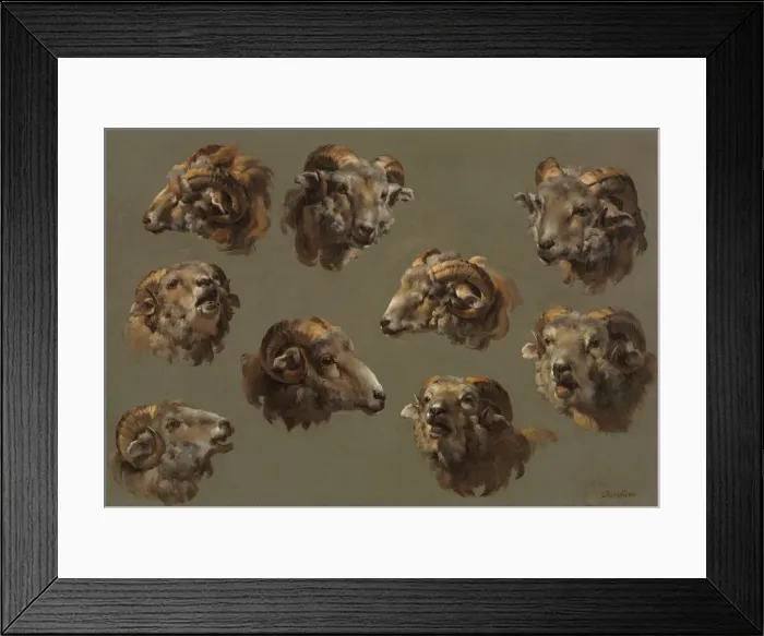 Framed Print : Studies of Ram Heads, 1700s. Creator: Unknown Framed Print : Studies of Ram Heads, 1700s. Creator: Unknown