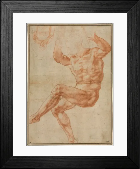 Framed Print : Study for the Nude Youth over the Prophet Daniel (recto), 1510-11 Framed Print : Study for the Nude Youth over the Prophet Daniel (recto), 1510-11