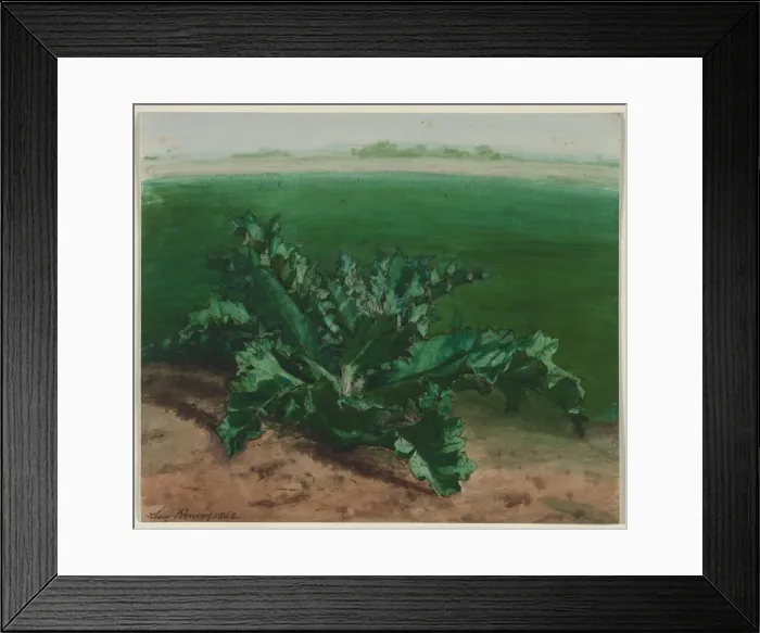 Framed Print : Study of a Plant, Possibly Thistle, 1862. Creator: Leon Bonvin (French, 1834-1866) Framed Print : Study of a Plant, Possibly Thistle, 1862. Creator: Leon Bonvin (French, 1834-1866)
