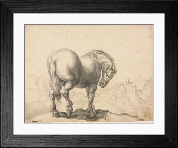 Framed Print : Study of a Stallion, first third 18th century?. Creator: Giovanni Battista Foggini (Italian Framed Print : Study of a Stallion, first third 18th century?. Creator: Giovanni Battista Foggini (Italian