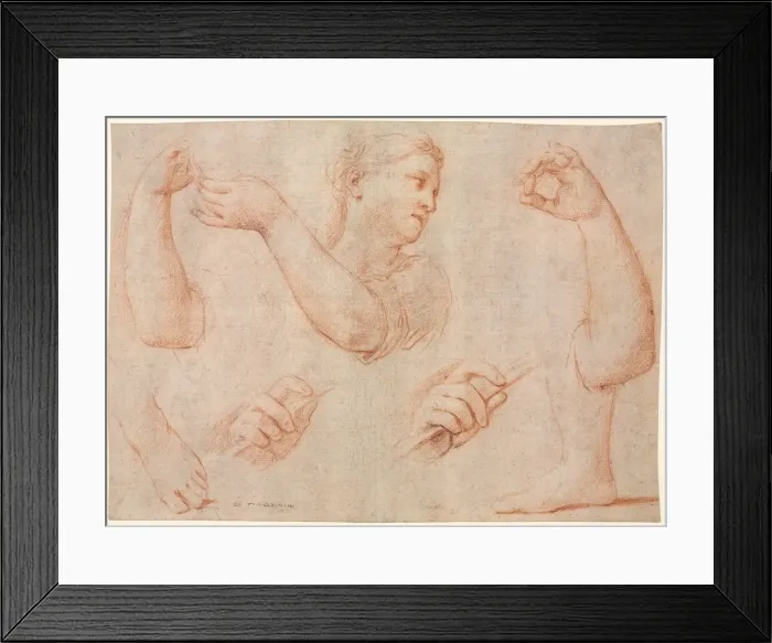 Framed Print : Study of a Young Woman Playing a Tambourine, and Studies of an Arm, Hands, and Feet Framed Print : Study of a Young Woman Playing a Tambourine, and Studies of an Arm, Hands, and Feet