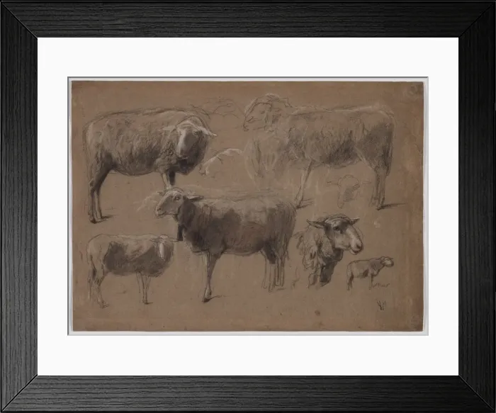 Framed Print : Studies of Sheep, second half 1800s. Creator: Anton Mauve (Dutch, 1838-1888) Framed Print : Studies of Sheep, second half 1800s. Creator: Anton Mauve (Dutch, 1838-1888)