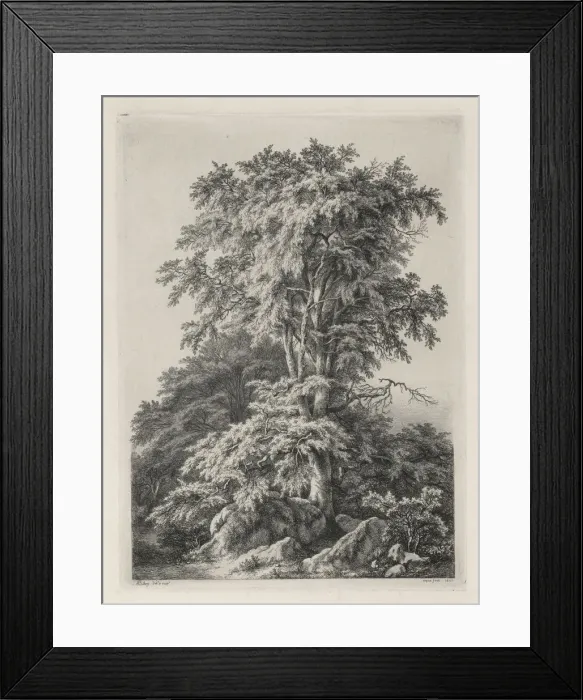 Framed Print : Studies Drawn and Engraved after Nature: The Beach, Fontainbleau... 1840. Creator Framed Print : Studies Drawn and Engraved after Nature: The Beach, Fontainbleau... 1840. Creator