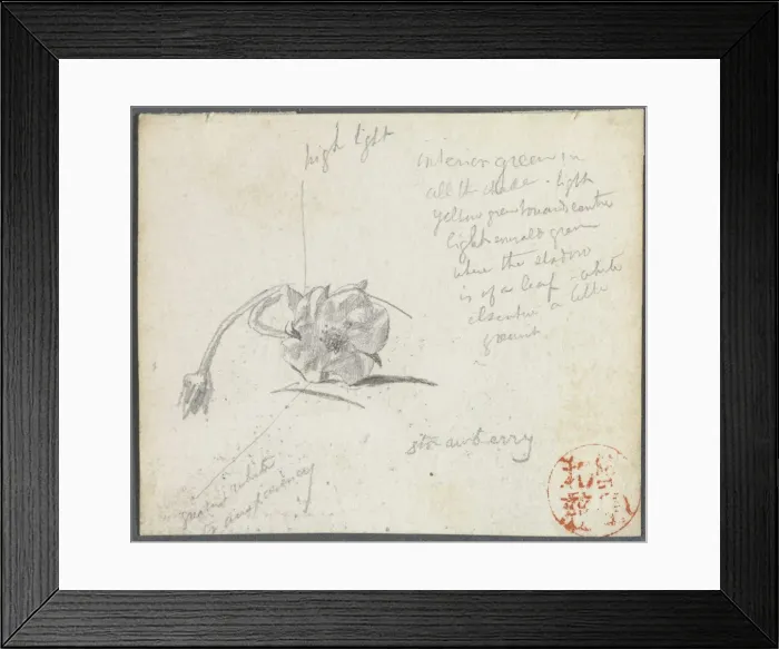 Framed Print : Strawberry Blossom. Creator: John La Farge (American, 1835-1910) Framed Print : Strawberry Blossom. Creator: John La Farge (American, 1835-1910)