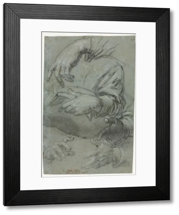 Framed Print : Studies of Hands (recto), c. 1586. Creator: Carletto Caliari (Italian, 1570-1596) Framed Print : Studies of Hands (recto), c. 1586. Creator: Carletto Caliari (Italian, 1570-1596)