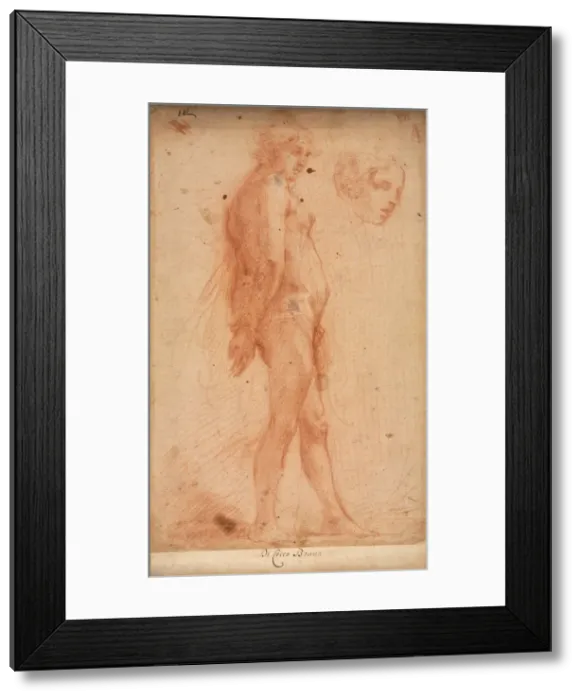 Framed Print : Study of a Standing Male Nude, with a Study of Head in Three-Quarter Profile, c. 1640 Framed Print : Study of a Standing Male Nude, with a Study of Head in Three-Quarter Profile, c. 1640