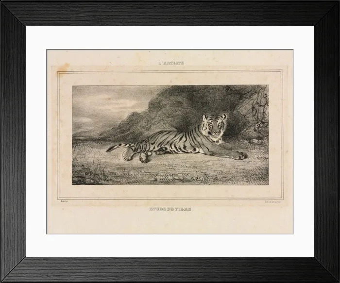 Framed Print : Study of a Tiger, 1832. Creator: Antoine-Louis Barye (French, 1796-1875) Framed Print : Study of a Tiger, 1832. Creator: Antoine-Louis Barye (French, 1796-1875)