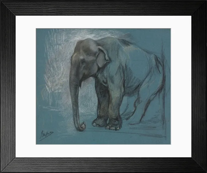 Framed Print : Study of an Elephant. Creator: John Macallan Swan (British, 1847-1910) Framed Print : Study of an Elephant. Creator: John Macallan Swan (British, 1847-1910)