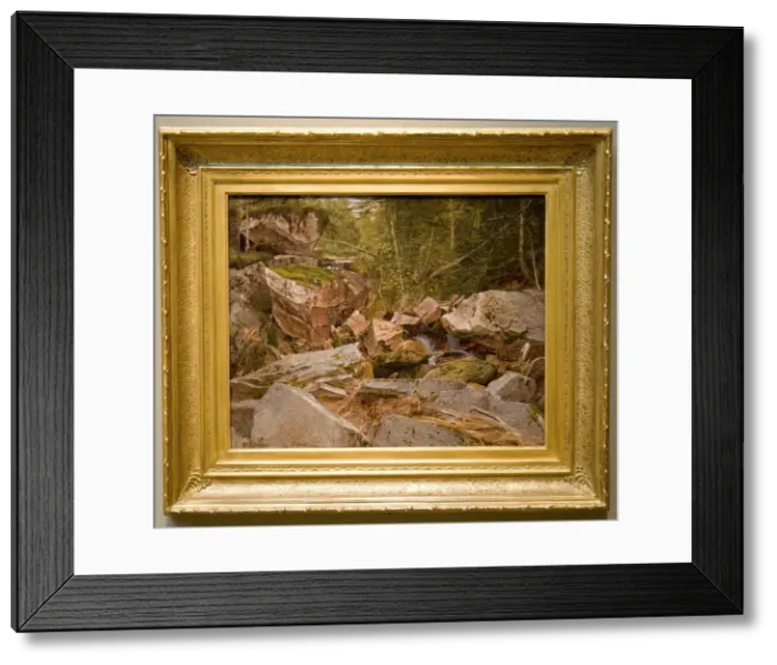 Framed Print : Study, North Conway, New Hampshire, 1851. Creator: David Johnson (American, 1827-1908) Framed Print : Study, North Conway, New Hampshire, 1851. Creator: David Johnson (American, 1827-1908)