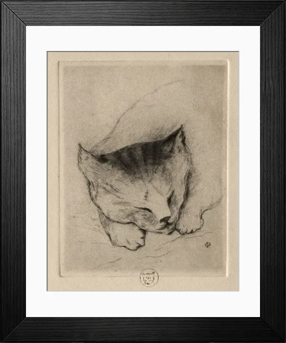Framed Print : Six Etchings: Head of a Kitten, 1895. Creator: Paul Gachet (French, 1828-1909) Framed Print : Six Etchings: Head of a Kitten, 1895. Creator: Paul Gachet (French, 1828-1909)