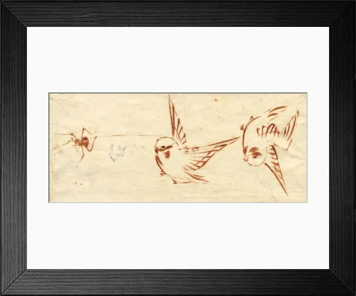 Framed Print : Sketch Page with Birds and Spider. Creator: Katsushika Hokusai (Japanese, 1760-1849) Framed Print : Sketch Page with Birds and Spider. Creator: Katsushika Hokusai (Japanese, 1760-1849)
