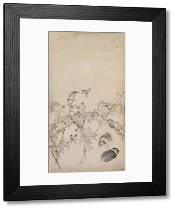 Framed Print : Puppies, Sparrows and Chrysanthemums, 1754-1799. Creator: Nagasawa Rosetsu (Japanese, 1754-1799) Framed Print : Puppies, Sparrows and Chrysanthemums, 1754-1799. Creator: Nagasawa Rosetsu (Japanese, 1754-1799)