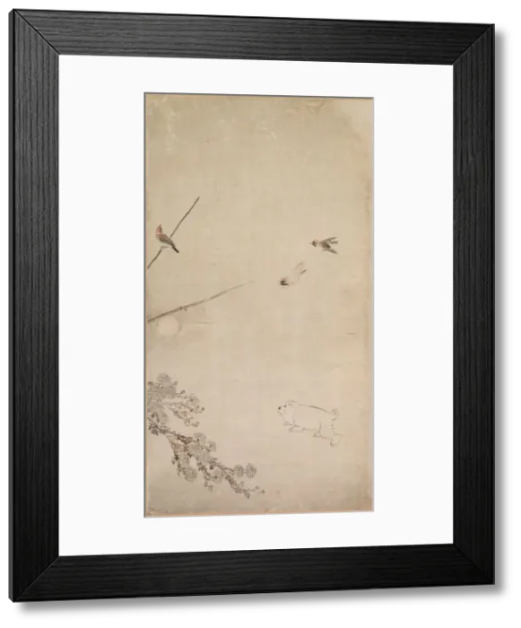 Framed Print : Puppies, Sparrows and Chrysanthemums, 1754-1799. Creator: Nagasawa Rosetsu (Japanese, 1754-1799) Framed Print : Puppies, Sparrows and Chrysanthemums, 1754-1799. Creator: Nagasawa Rosetsu (Japanese, 1754-1799)
