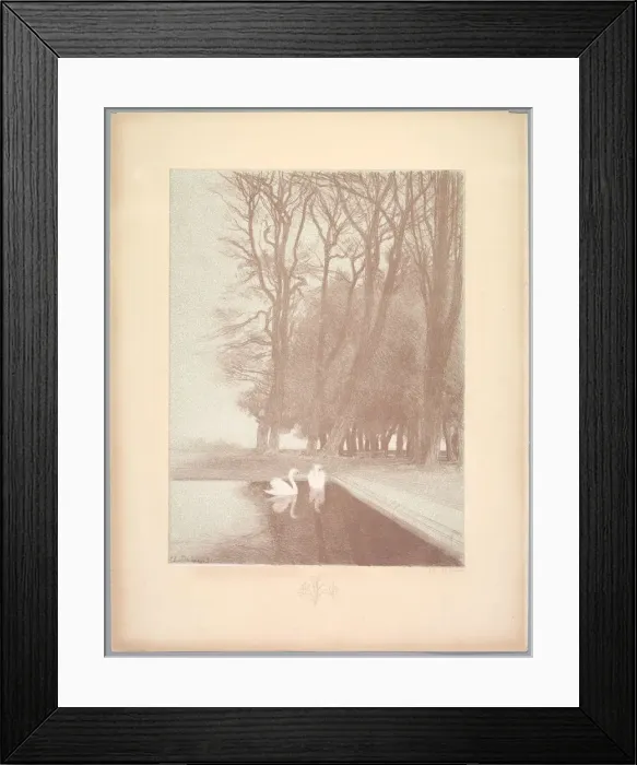 Framed Print : Suite de Paysages: Landscape, Plate 6, Remarque, Lilies, 1892-1893. Creator: Charles Marie Dulac Framed Print : Suite de Paysages: Landscape, Plate 6, Remarque, Lilies, 1892-1893. Creator: Charles Marie Dulac